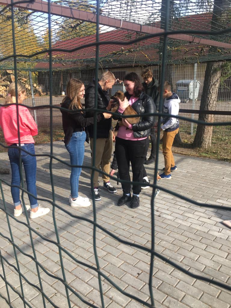 Labie darbi dzīvnieku patversmē